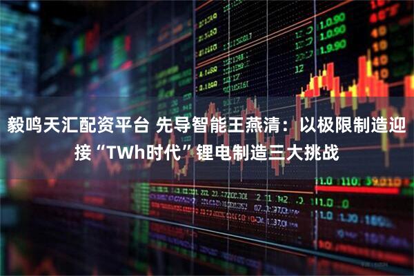 毅鸣天汇配资平台 先导智能王燕清：以极限制造迎接“TWh时代”锂电制造三大挑战
