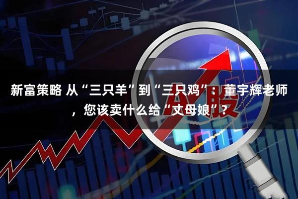 新富策略 从“三只羊”到“三只鸡”：董宇辉老师，您该卖什么给“丈母娘”？