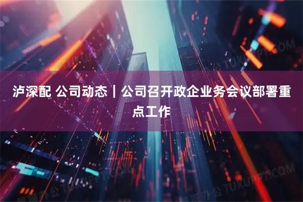 泸深配 公司动态｜公司召开政企业务会议部署重点工作